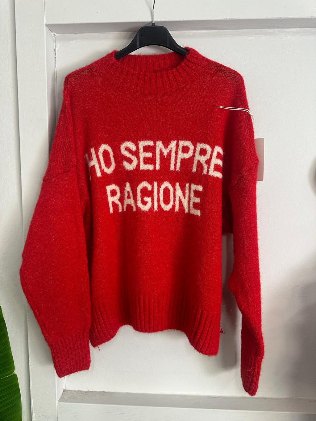 Il Maglione che Parla Chiaro: "Ho Sempre Ragione" - Stile e Assertività in Tinta Unita!