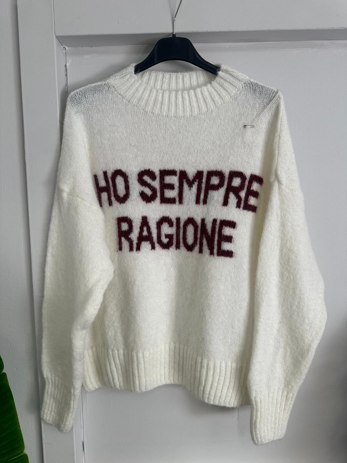 Il Maglione che Parla Chiaro: "Ho Sempre Ragione" - Stile e Assertività in Tinta Unita!