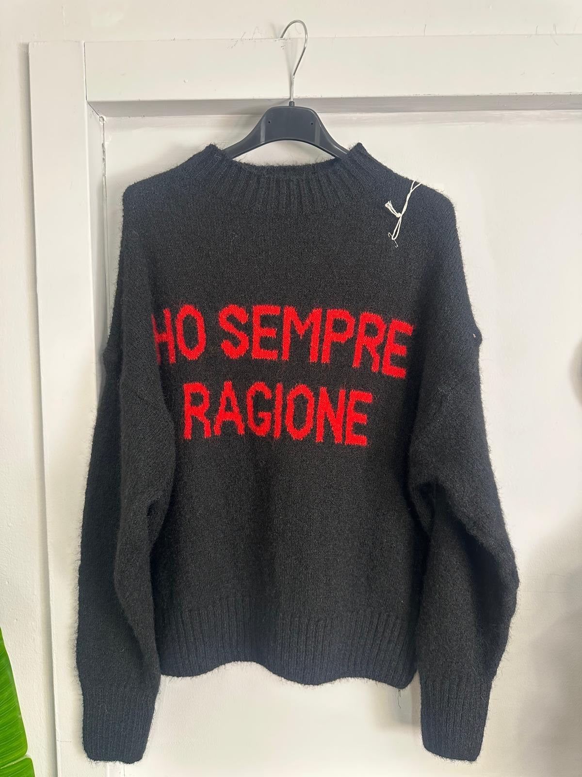 Il Maglione che Parla Chiaro: "Ho Sempre Ragione" - Stile e Assertività in Tinta Unita!