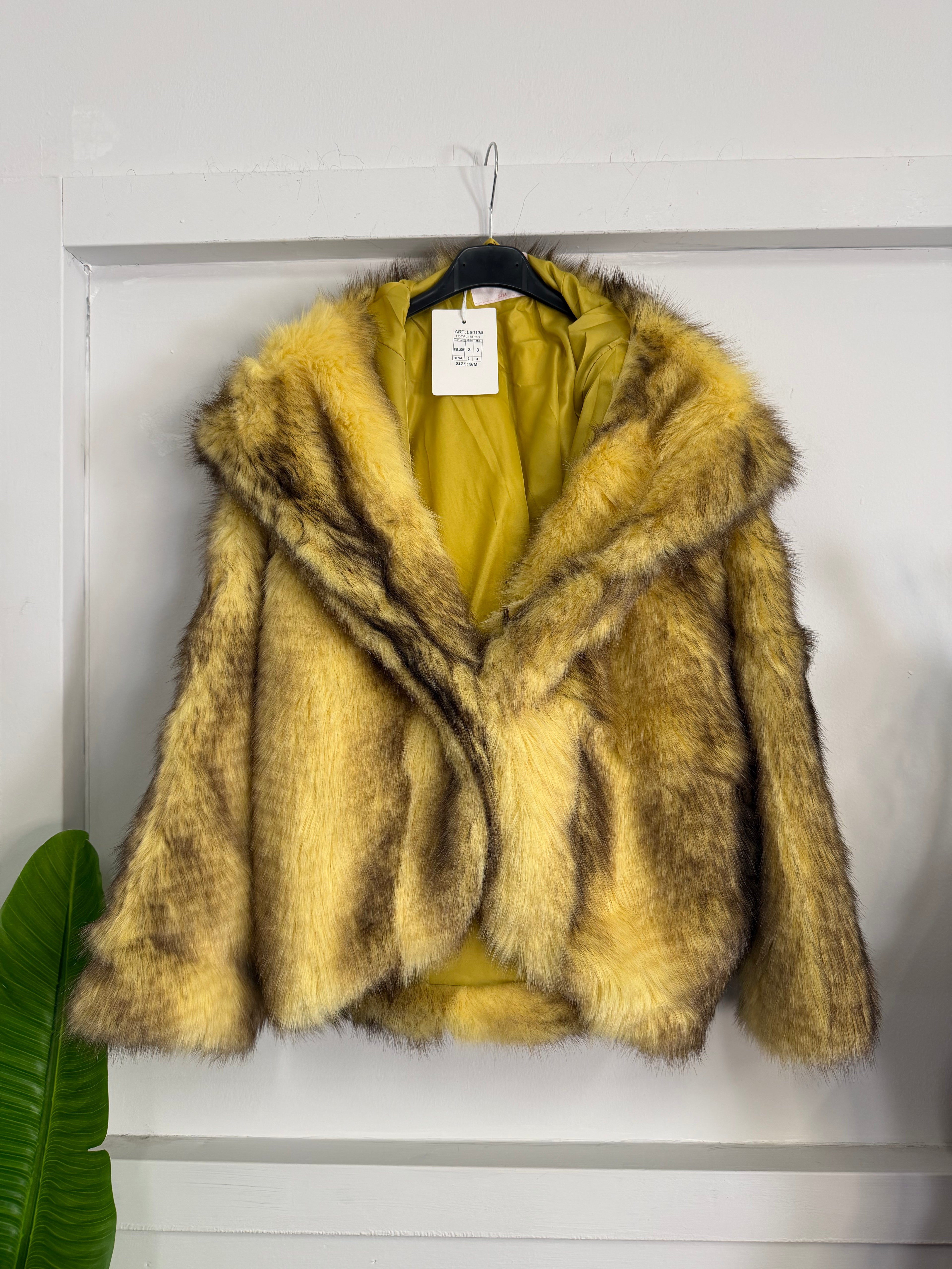 Ecopelliccia con Cappuccio Eleganza e Tocco Casual Manica Lunga con Gancio impreziosito da Strass Calore Avvolgente e Dettaglio Luminoso