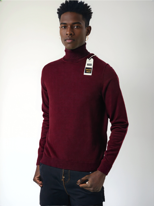 Pullover dolcevita UrbanFlex™