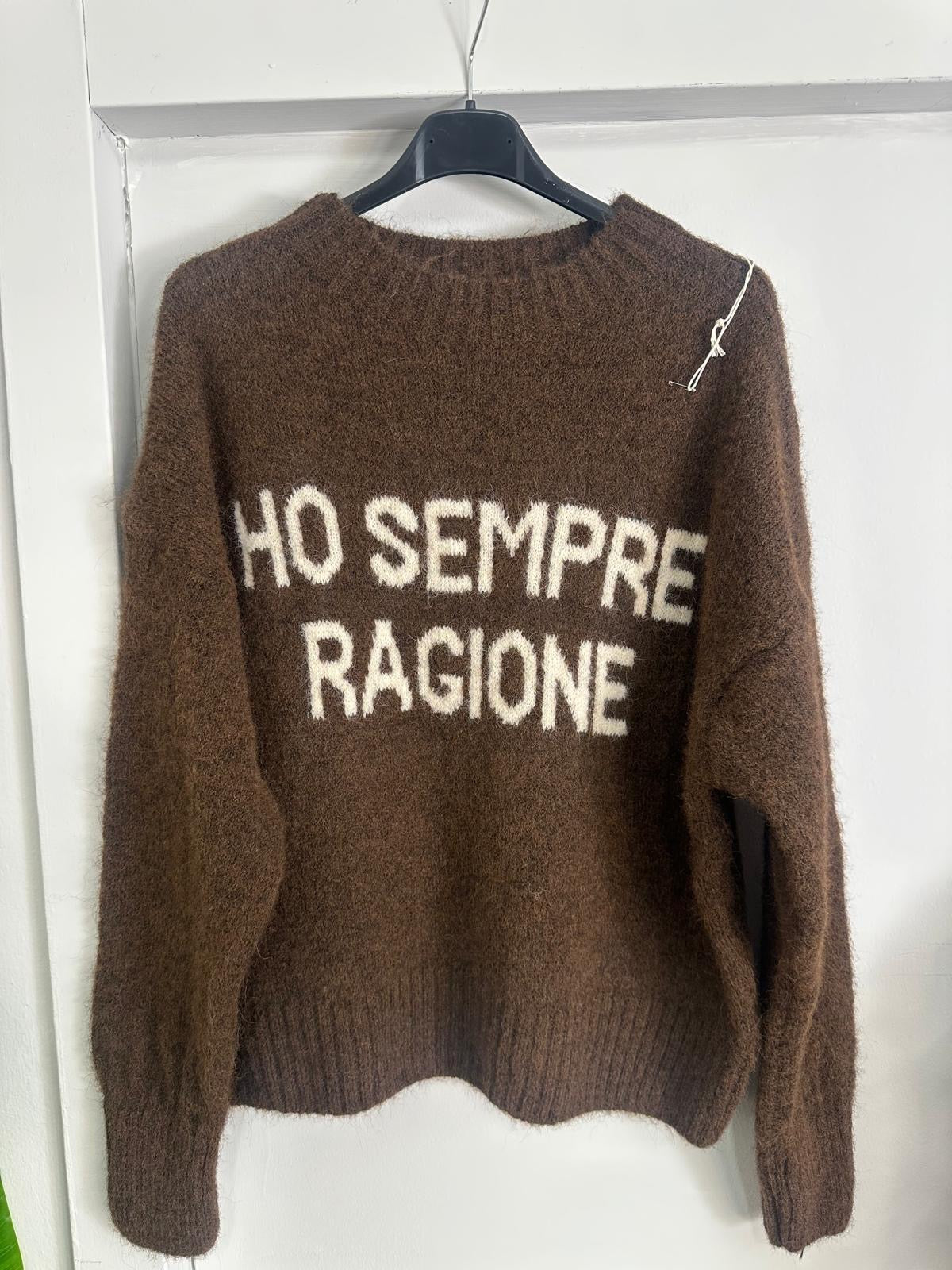 Il Maglione che Parla Chiaro: "Ho Sempre Ragione" - Stile e Assertività in Tinta Unita!