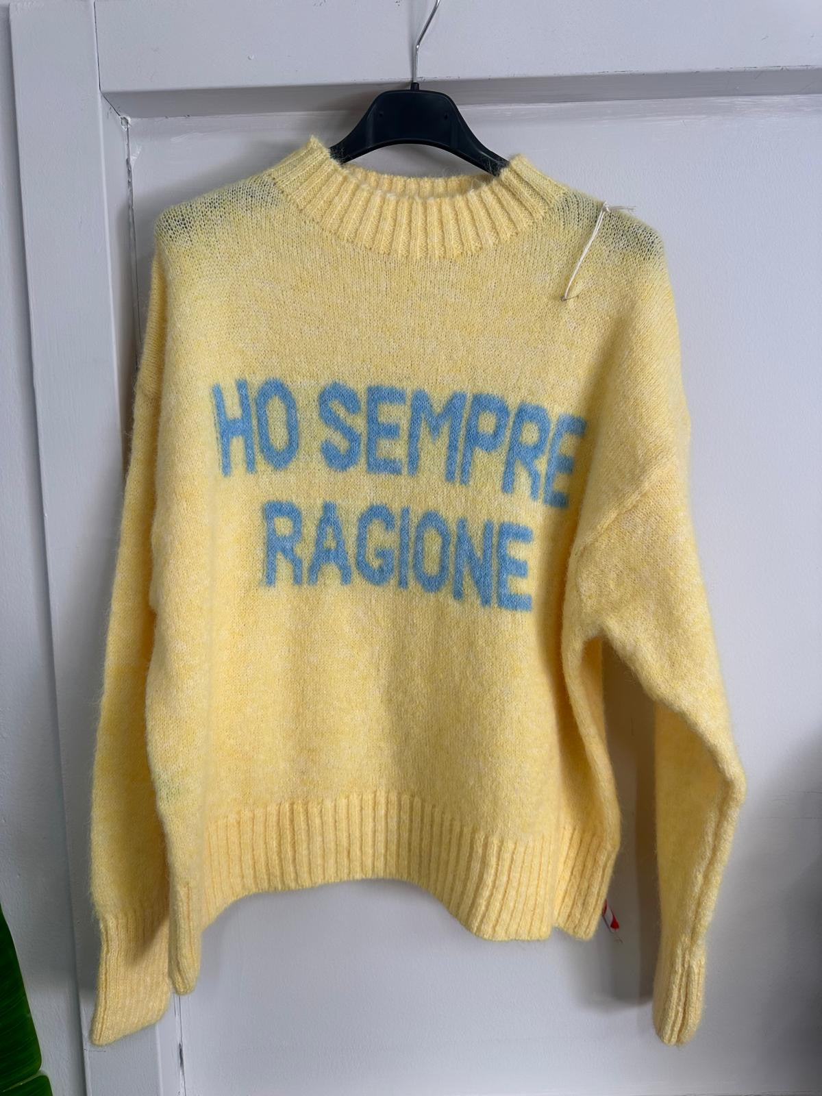 Il Maglione che Parla Chiaro: "Ho Sempre Ragione" - Stile e Assertività in Tinta Unita!